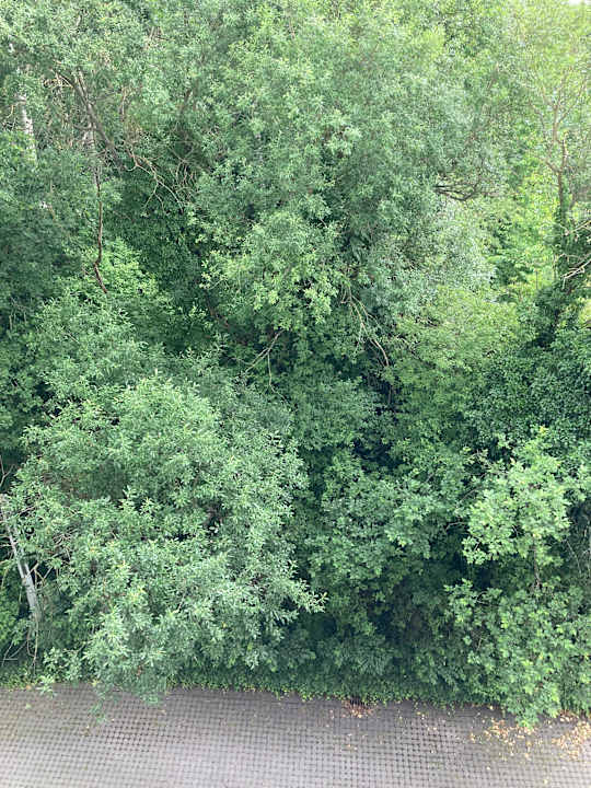 Außenansicht Best Western Plaza Hotel Zwickau