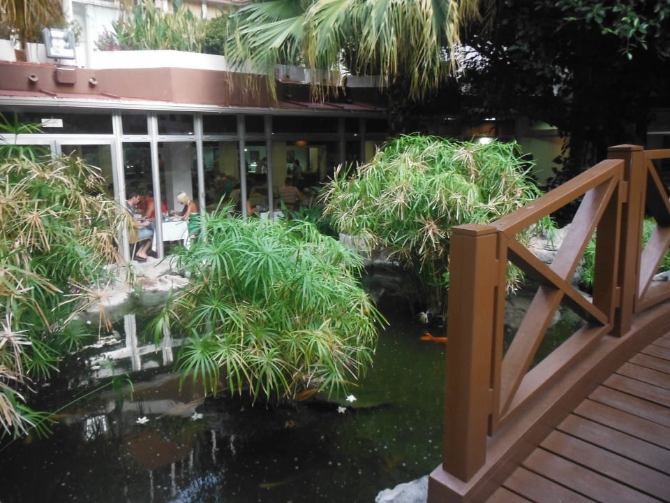 Teich mit Fischen Hotel Catalonia Punta del Rey