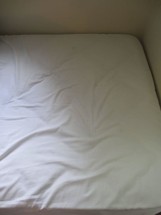 Ameisen im Bett Petunya Beach Resort