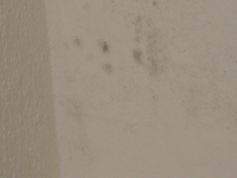 Schimmel an den Wänden Hotel Riu Palace Punta Cana