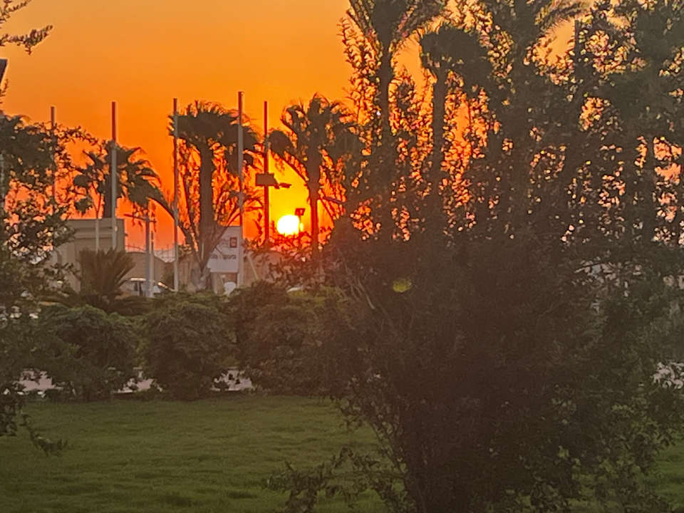 Ausblick Pickalbatros Aqua Blu Resort - Hurghada