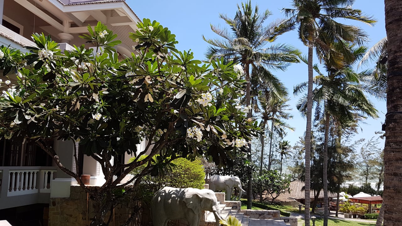 Gartenanlage AMARYLLIS Resort & Spa
