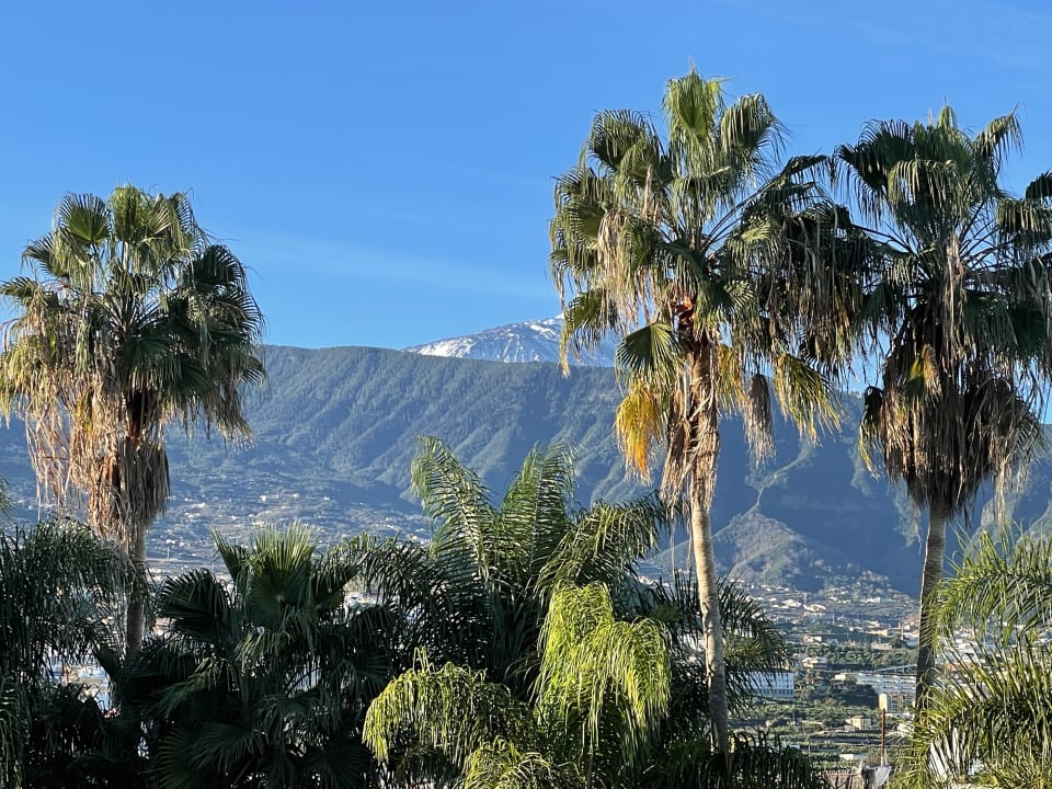 Ausblick Hotel Tigaiga