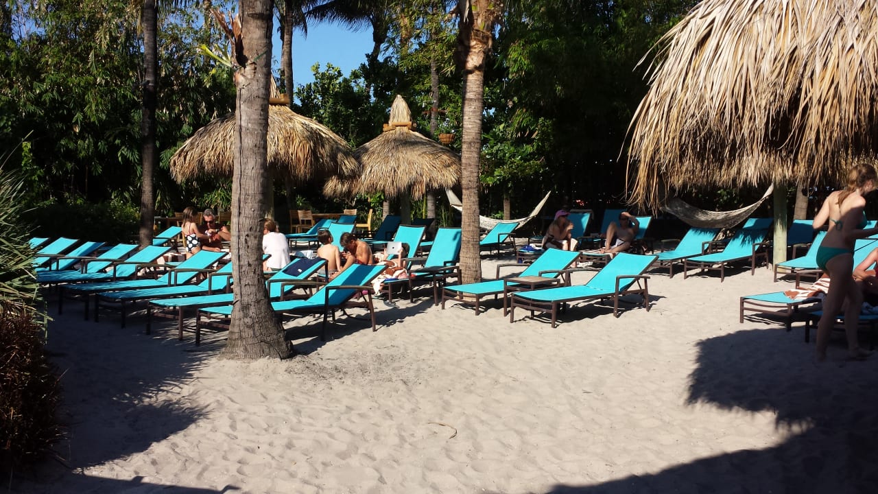 Pool The Palms Hotel & Spa