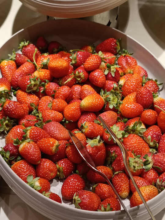 Gastro Akra Sorgun Tui Blue Sensatori