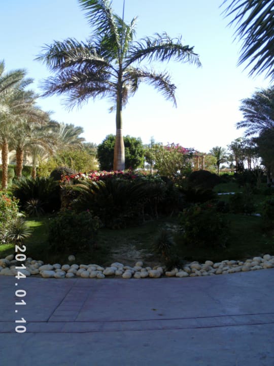 Hotel Governor Amwaj Abu Soma Amwaj Beach Club Abu Soma Resort