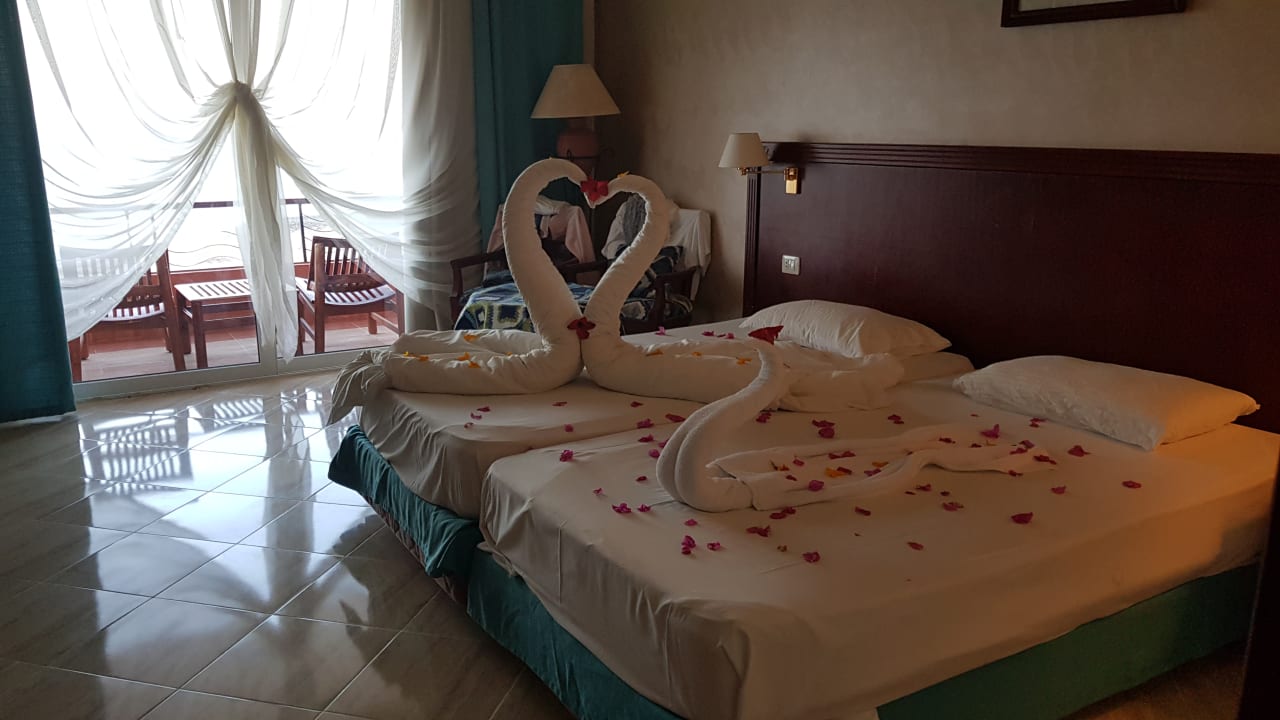 Zimmer Malikia Resort Abu Dabbab