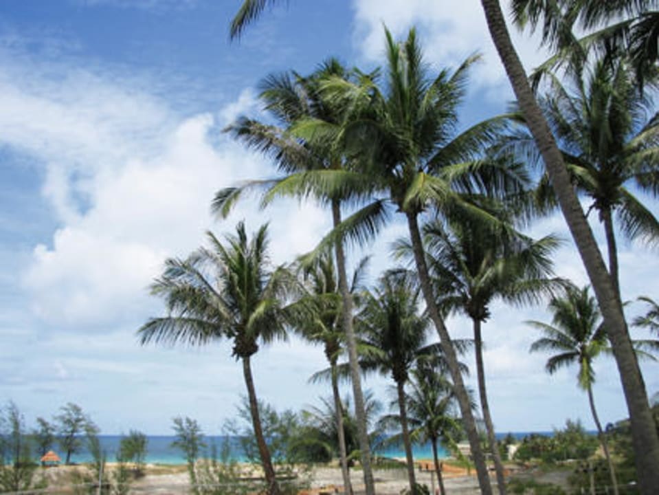 Palmen Best Western Phuket Ocean Resort