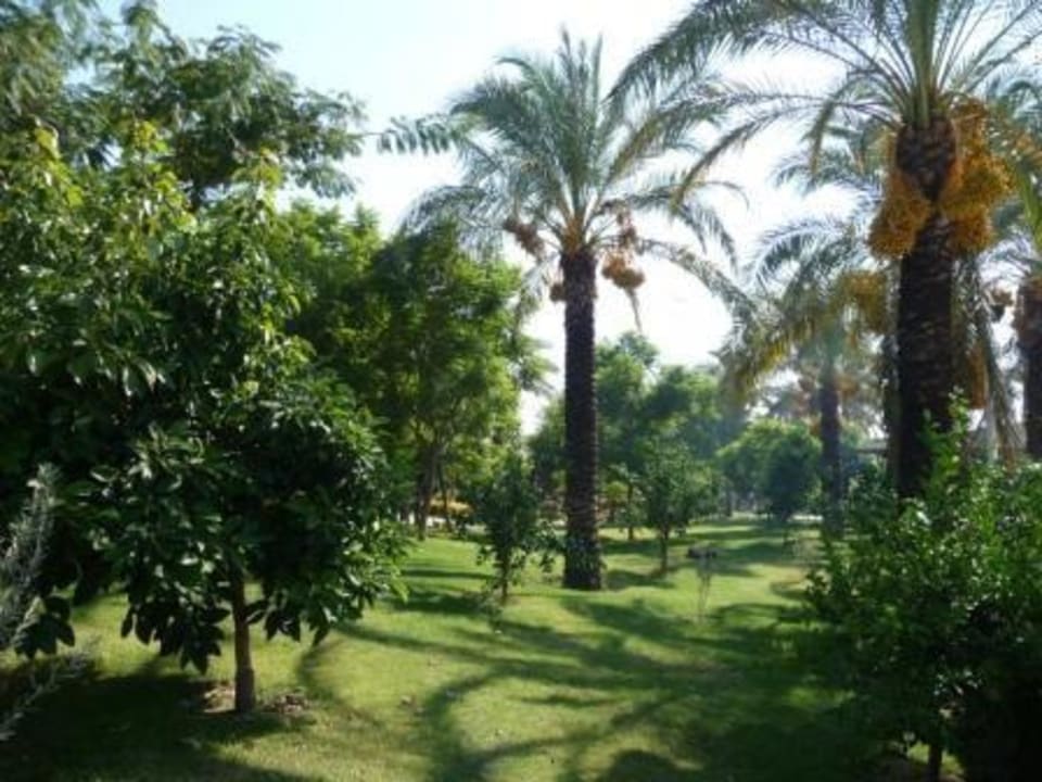 Zum Relaxen Sunis Kumköy Beach Resort Hotel & Spa