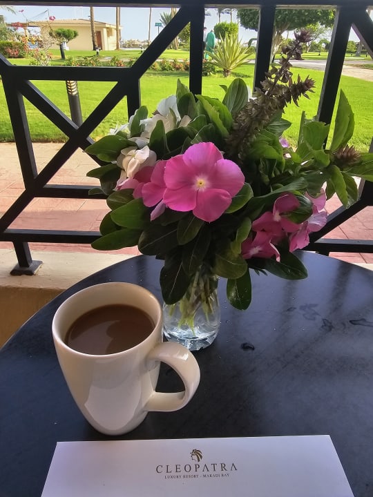 Zimmer Cleopatra Luxury Resort Makadi Bay