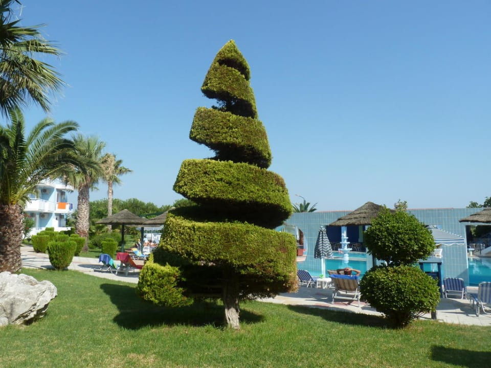 Gartenanlage beim Corali Hotel Pool Corali Hotel
