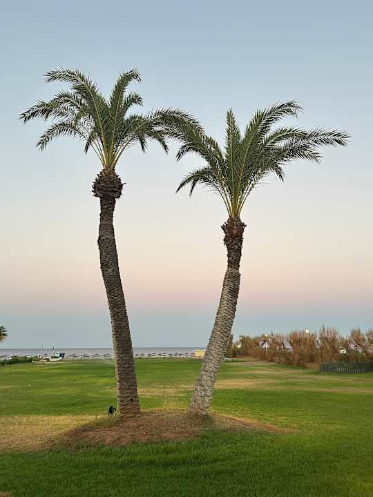 Ausblick Atrium Palace Thalasso Spa Resort & Villas