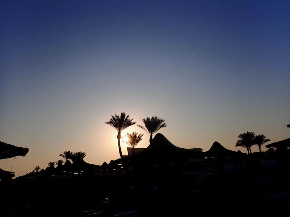 Außenansicht Malikia Resort Abu Dabbab