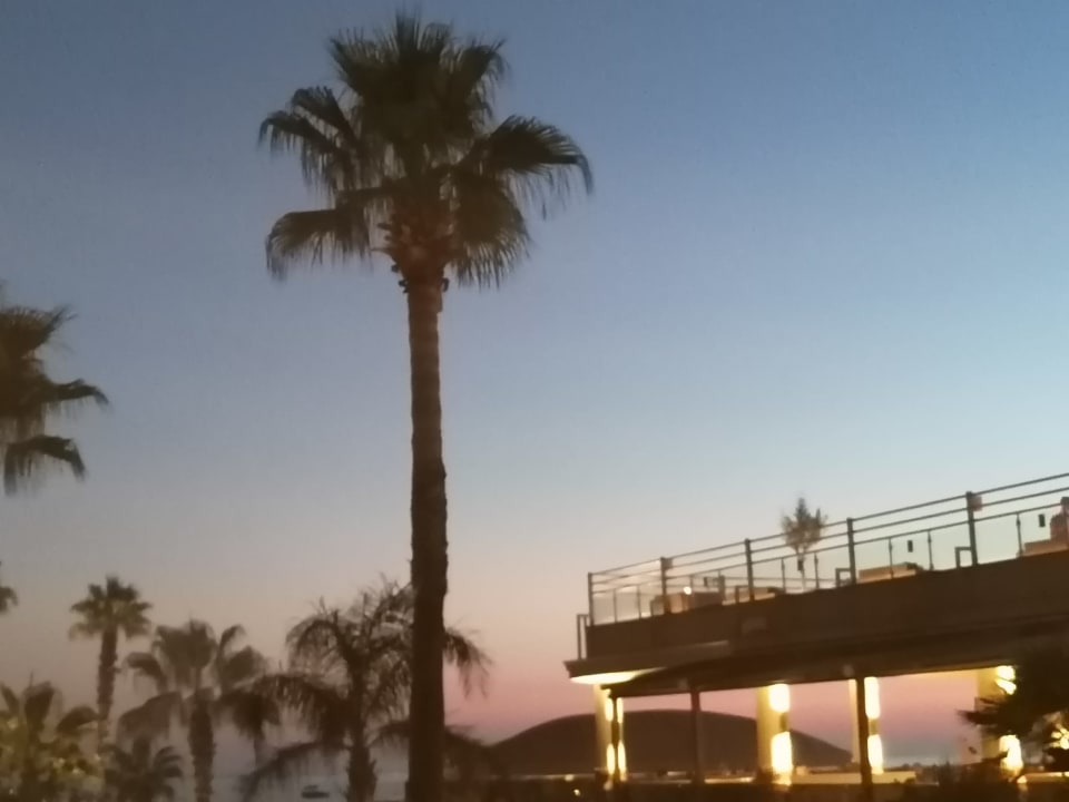 Gastro TUI BLUE Palm Garden