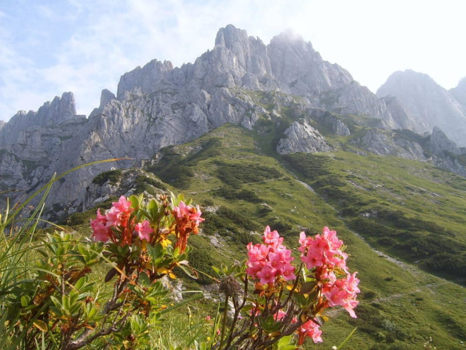 Bergsteigen im Wilden Kaiser Gästehaus Pöll