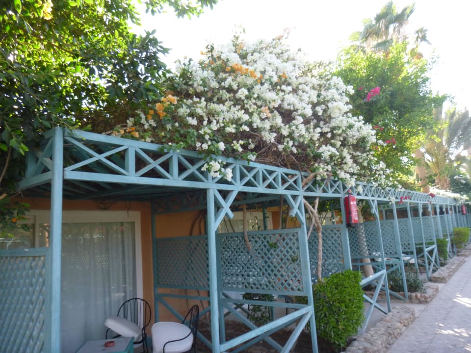 Blumenpracht um die Zimmer Giftun Azur Resort