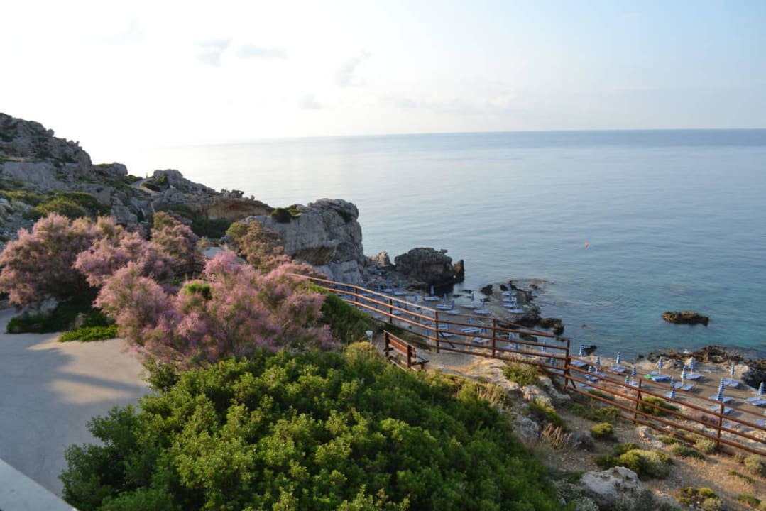 Wygląd zewnętrzny hotelu Hotel Kalithea Horizon Royal