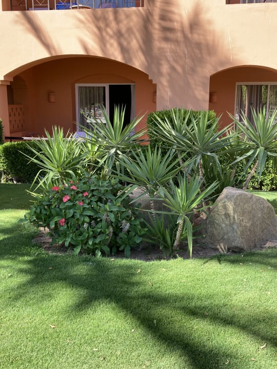 Gartenanlage Jaz Makadi Oasis Resort