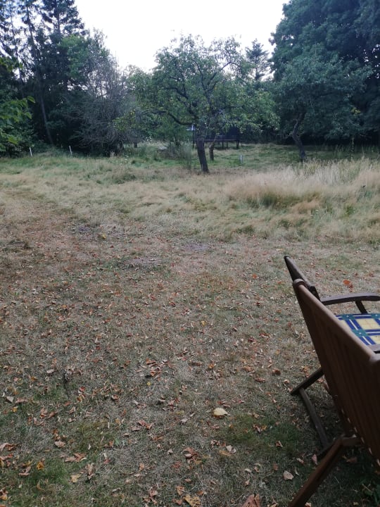 Gartenanlage Apartment Hockmannshof