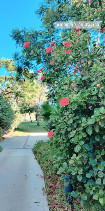 Gartenanlage ROBINSON QUINTA DA RIA