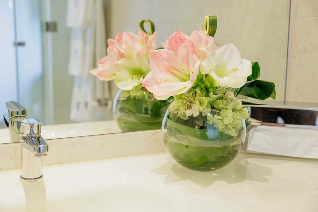 Zimmer Greif Hotel & Spa