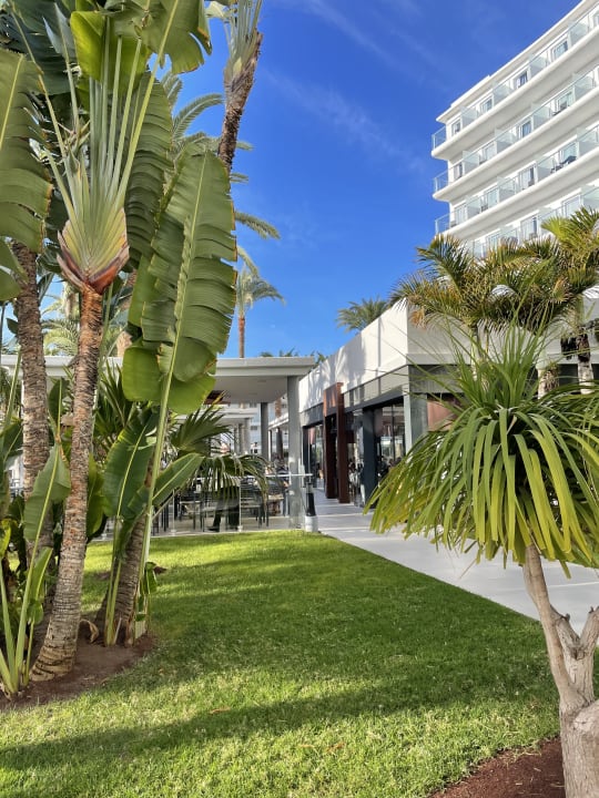 Gastro Hotel Riu Palace Palmeras