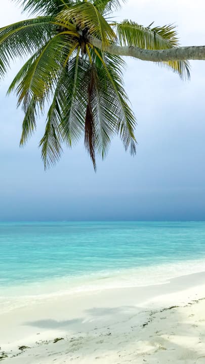 Strand Meeru Maldives Resort Island