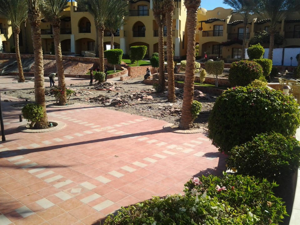 Die Liegeflächen? Jaz Solaya