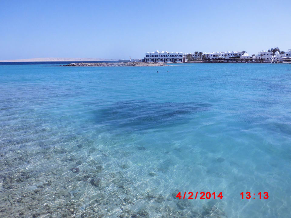 Kl.Fisch Schwarm in der Lagune Arabia Azur Resort