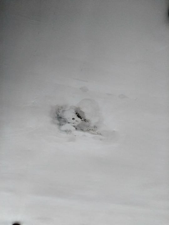 Schwarzer Schimmel in der Restaurantdecke Riviera Spa Resort - Adults Only