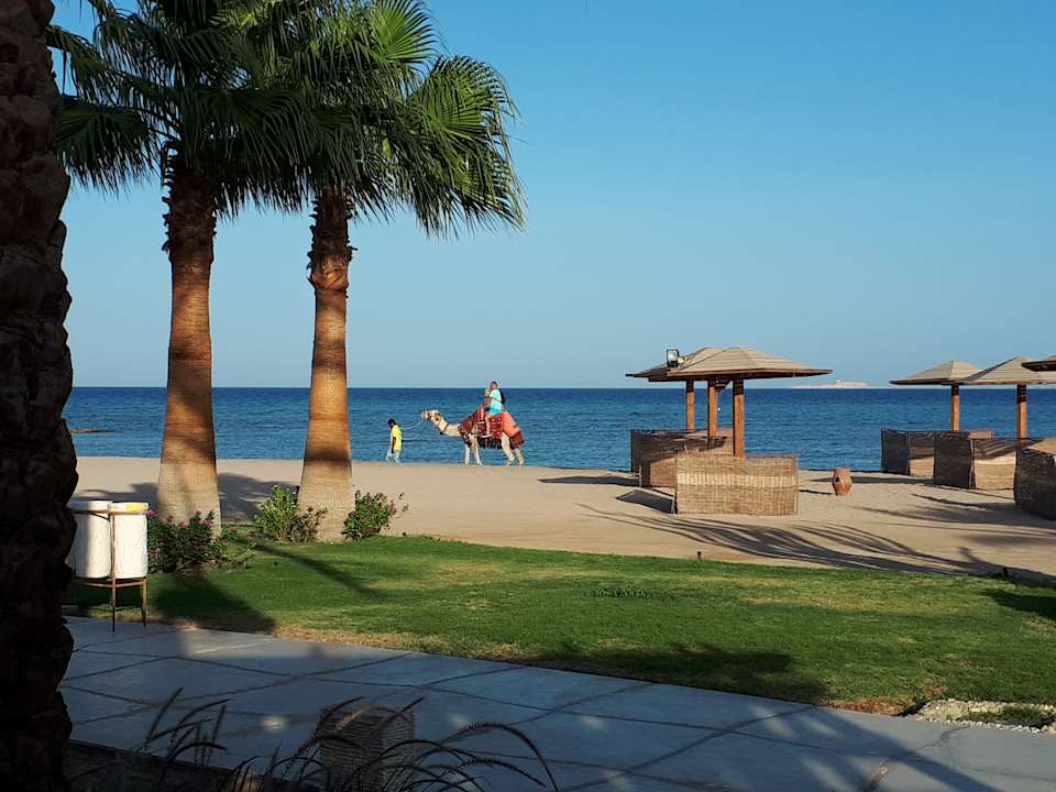 Ausblick Shams Prestige Abu Soma-Adults Only