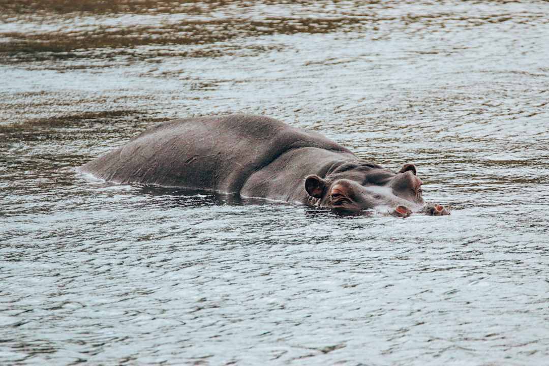 Sonstiges Rukiya Safari Camp