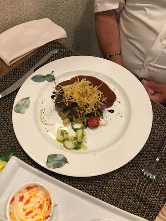 Gastro Acanthus Cennet Barut Collection