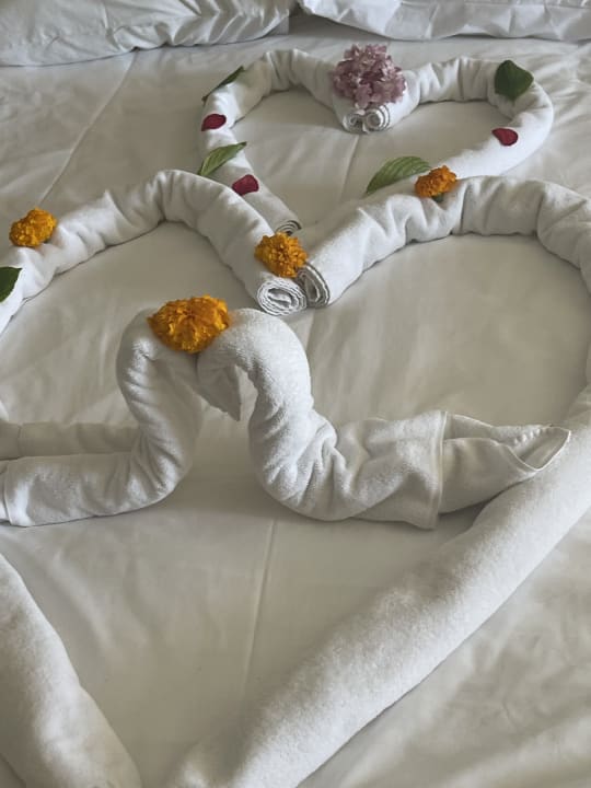 Zimmer Hotel Botanik Platinum