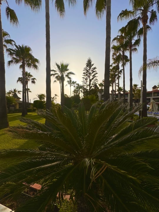 Gartenanlage Saphir Hotel & Villas