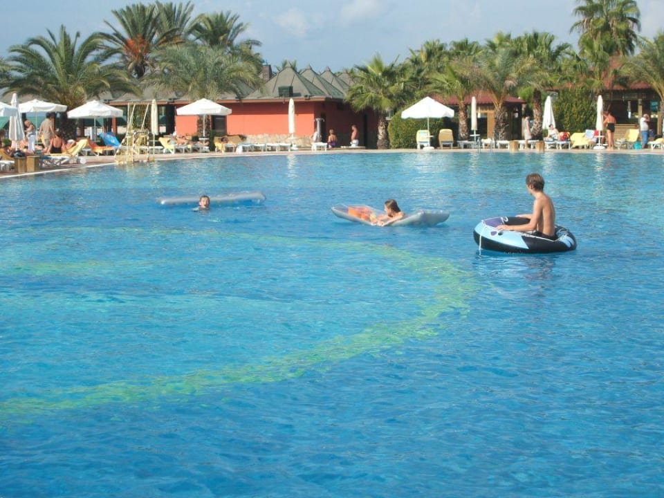 Pool Papillon Belvil