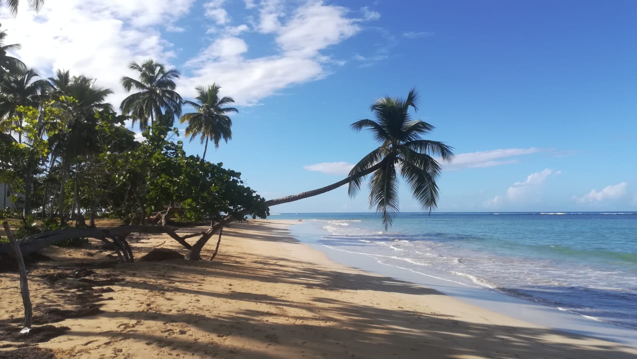 Strand Bahia Principe Grand El Portillo