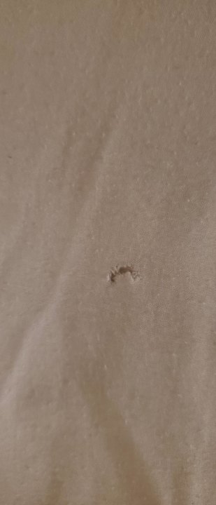 Zimmer Bliss Nada Beach Resort