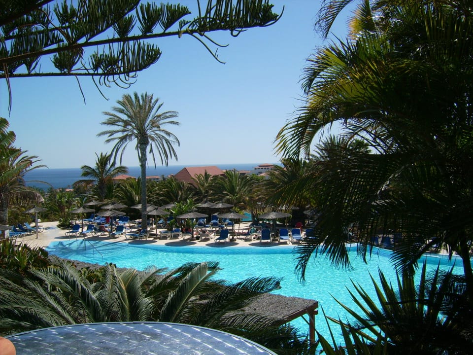 Blick auf den Pool allsun App.-Hotel Esquinzo Beach