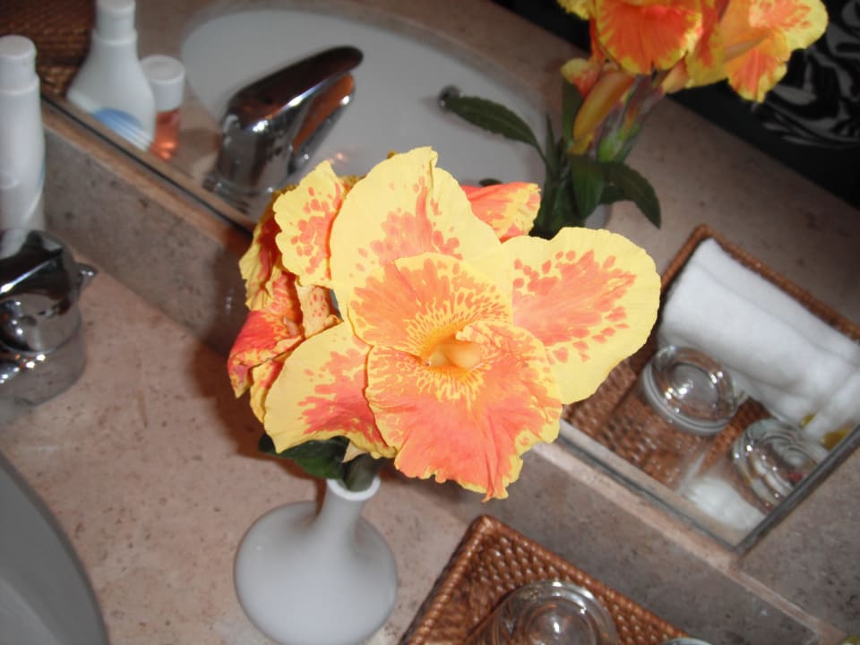 Blumendeko im Bad Jaz Makadi Oasis Resort