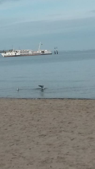 Strand Vestina Wellness & Spa Hotel