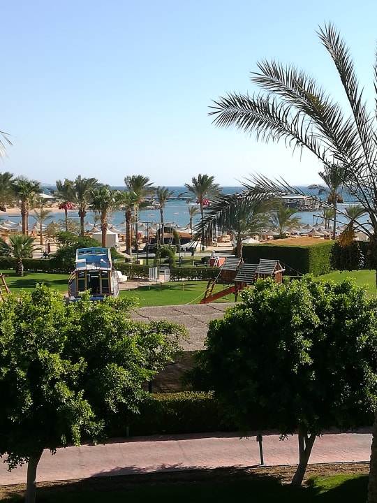 Außenansicht Desert Rose