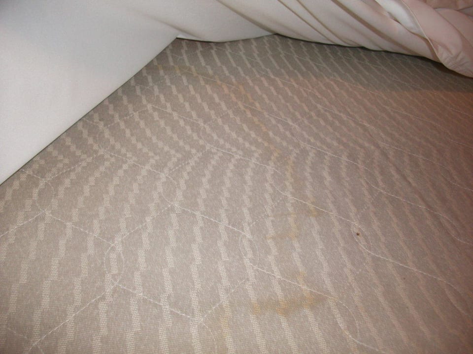 Hier schläft man gerne Camping- und Ferienpark Markgrafenheide