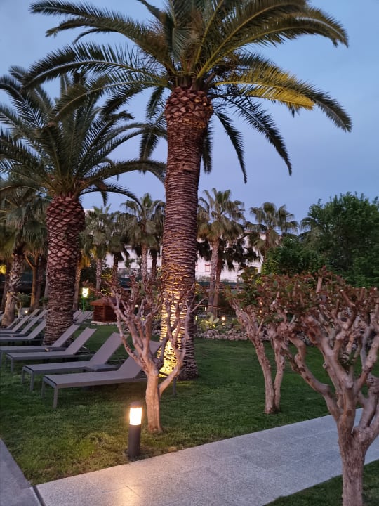 Außenansicht Hotel Miramare Beach