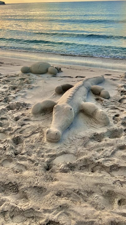 Strand Hotel Vassos Nissi Plage