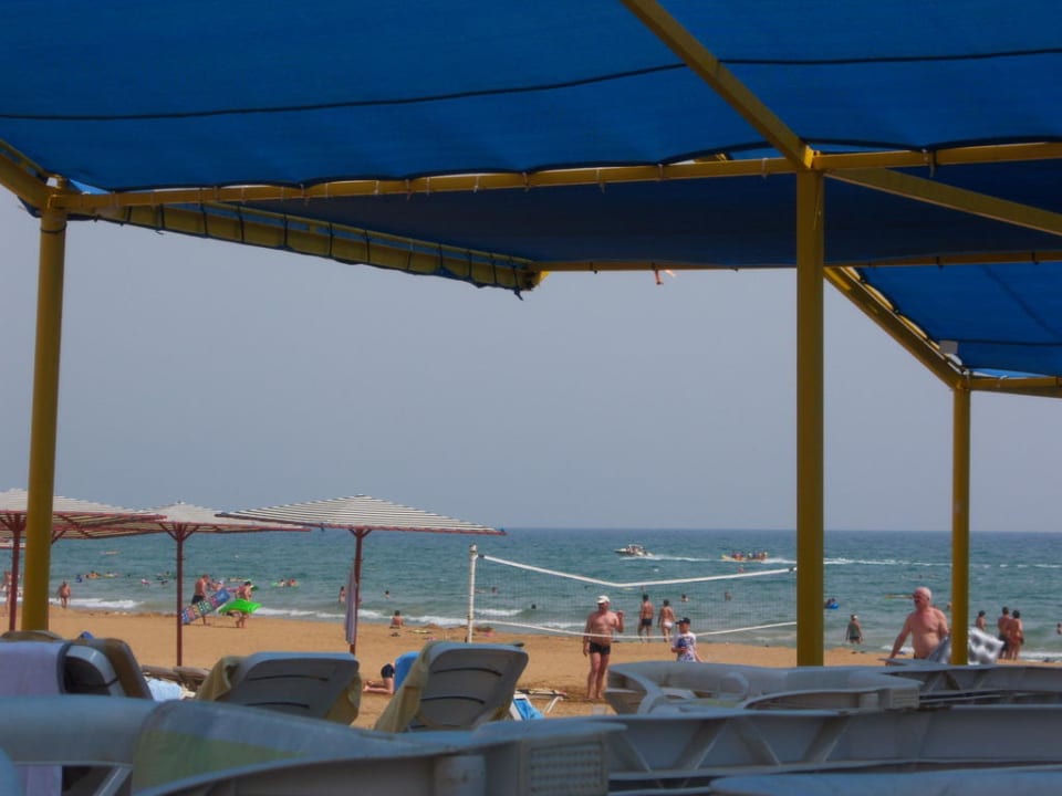 Strandliegen Hotel Orfeus Park