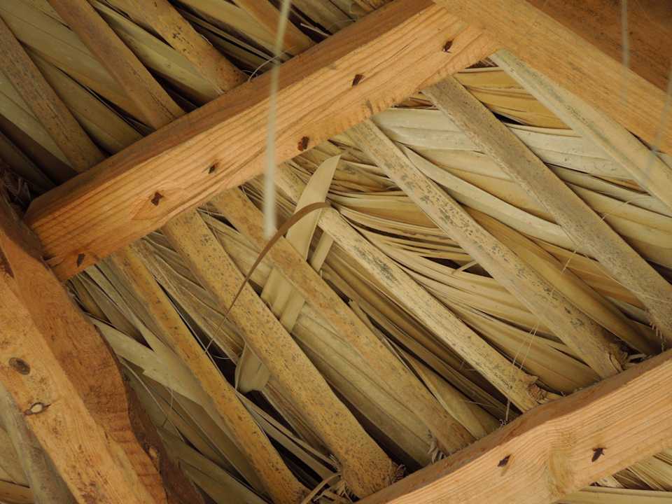 Vorsicht unter dem Sonnenschirm Blau varadero - Adults only