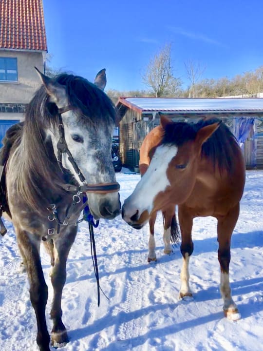 Sport & Freizeit Burgbauernhof Katzenstein