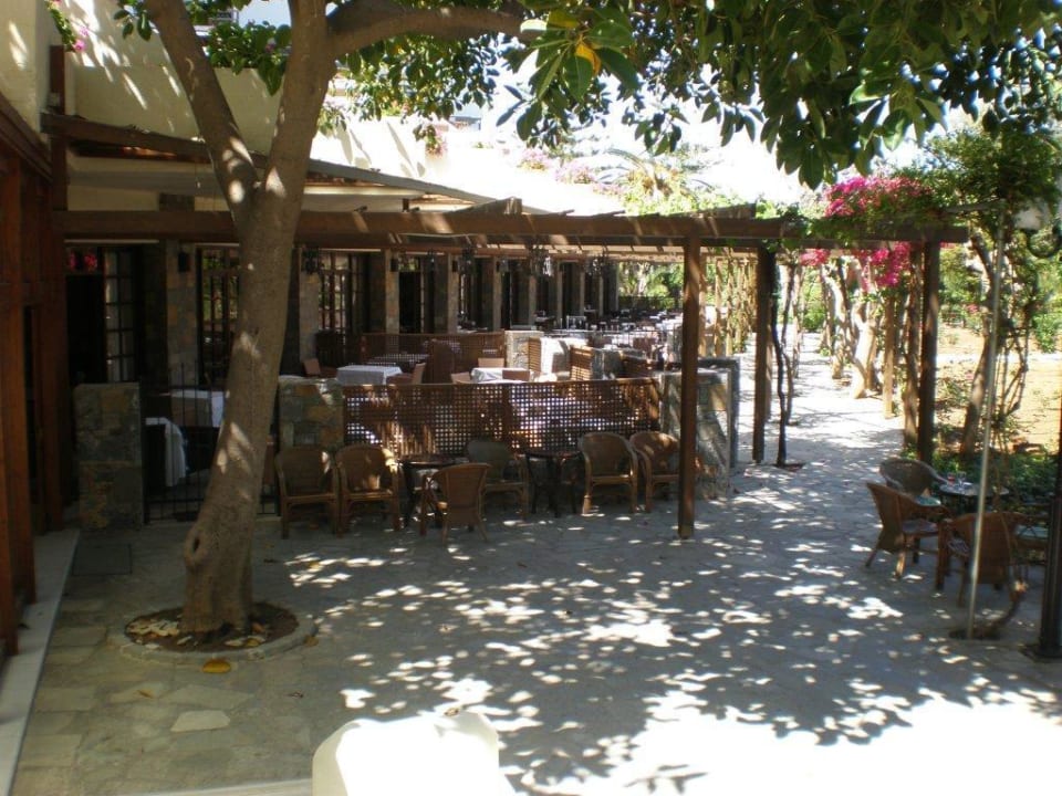 Das Haupt-Restaurant Apollonia Beach Resort & Spa