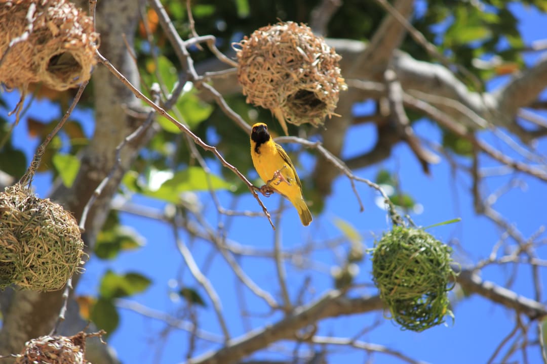 Strand Le Jadis Beach Resort & Wellness Mauritius